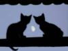 Схема вышивки «Лунные коты»