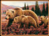 Схема вышивки «Семья медведей»