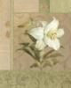 Схема вышивки «White Lily»
