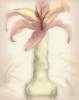 Схема вышивки «Flower Decoration - Lily»