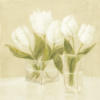 Схема вышивки «White Flowers»