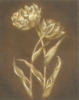 Схема вышивки «Golden Flowers»