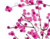 Схема вышивки «Pink Cherry Blossom»