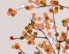 Схема вышивки «Orange Cherry Blossom»