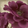 Схема вышивки «Purple Blossom»
