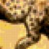 Leopard Canvas: предпросмотр