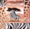 Схема вышивки «Zebra Canvas»