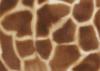 Схема вышивки «Giraffe Pattern»