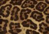 Схема вышивки «Jaguar Pattern»
