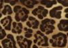 Схема вышивки «Jaguar Pattern»