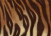 Схема вышивки «Tiger Pattern»