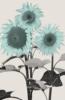 Схема вышивки «Blue Sunflowers»