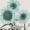 Схема вышивки «Blue Sunflowers»