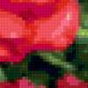 Великолепный розовый сад: предпросмотр
