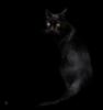 Схема вышивки «Черная кошка в черной комнате»