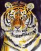 Схема вышивки «Tiger Painting»