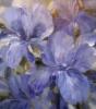 Схема вышивки «Faint Flowers - Blue»