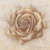 Схема вышивки «Golden Rose»