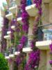 Схема вышивки «Балконы в цветах»