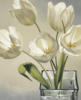 White Tulips on White: оригинал