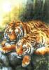 Схема вышивки «Тигры в лесу»