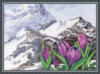 Альпийские цветы: оригинал