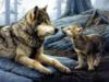 Схема вышивки «Волчица и волчонок»