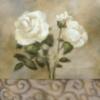 Схема вышивки «White Flowers»