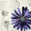 Схема вышивки «Purple Flower on White»