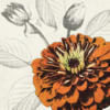 Схема вышивки «Orange Flower on White»