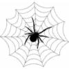 Схема вышивки «Паук в паутине»