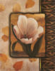 Схема вышивки «White Flower - Set of 4 - Tulip»