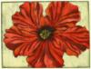 Схема вышивки «Red Flower - Duo»