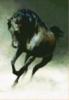 Схема вышивки «Черный конь»