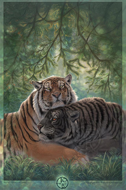 Схема Вышивки Крестом Любовная Пара Тигров