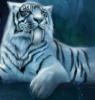 Белый тигр рррр...: оригинал