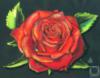 Схема вышивки «Одинокая роза»