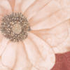 Схема вышивки «Flower Close Up»