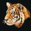 Схема вышивки «Тигр  »