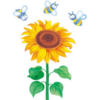 Схема вышивки «Посолнух и пчелы»