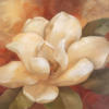 Golden Magnolia: оригинал