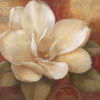 Схема вышивки «Golden Magnolia»