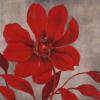Схема вышивки «Red Flower»
