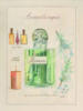 Схема вышивки «Aromatherapy - Rosemary»