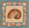 Схема вышивки «Shells Decoration»