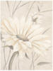 Схема вышивки «White Flowers Duo»