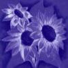 Схема вышивки «Purple Sunflowers»