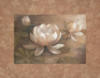 Схема вышивки «White Flower - Lotus»