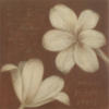 Схема вышивки «White Flower on Brown»