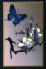 Схема вышивки «Бабочка у цветка»